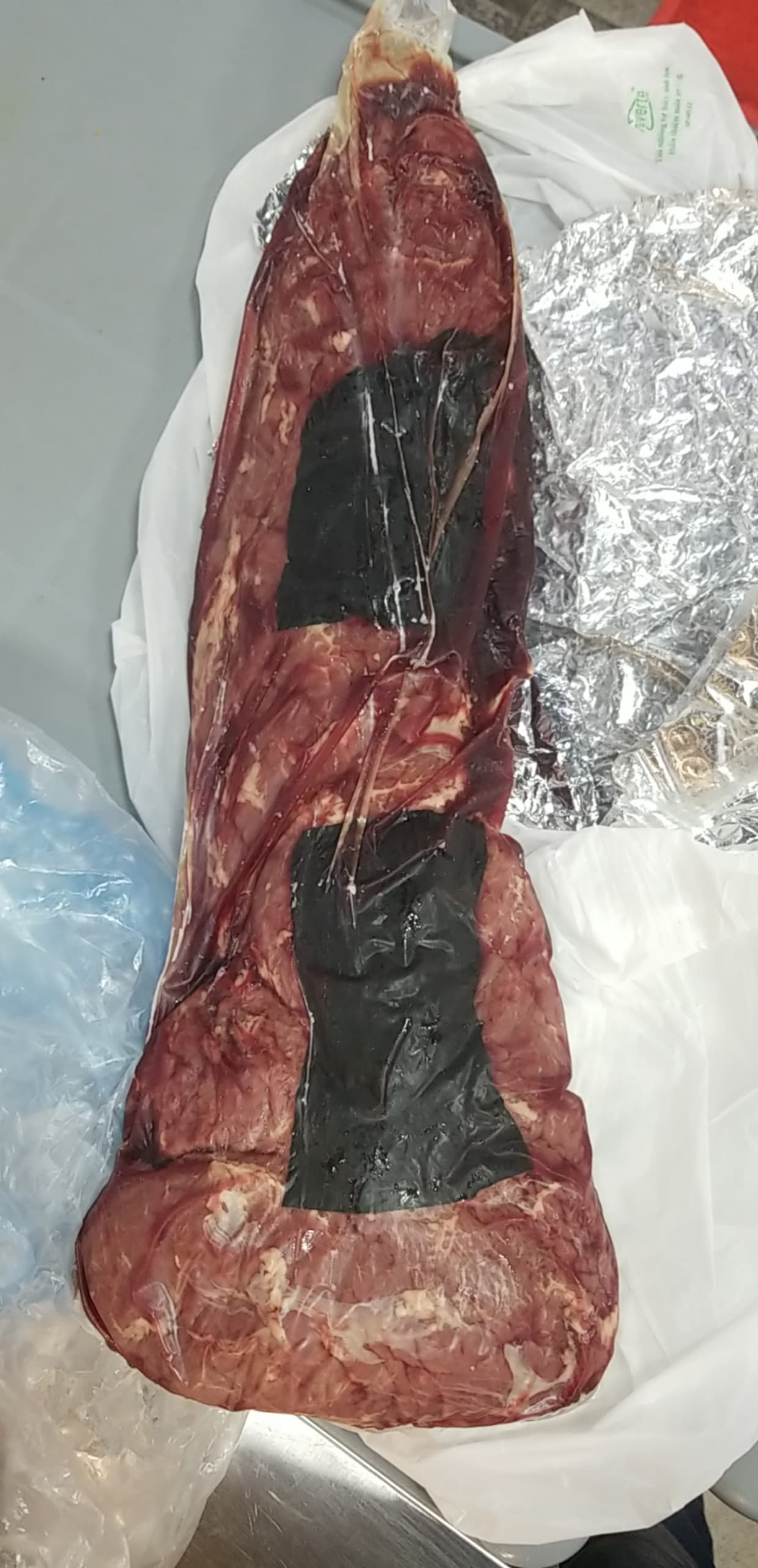 Phi lê Úc - Chi tiết 2